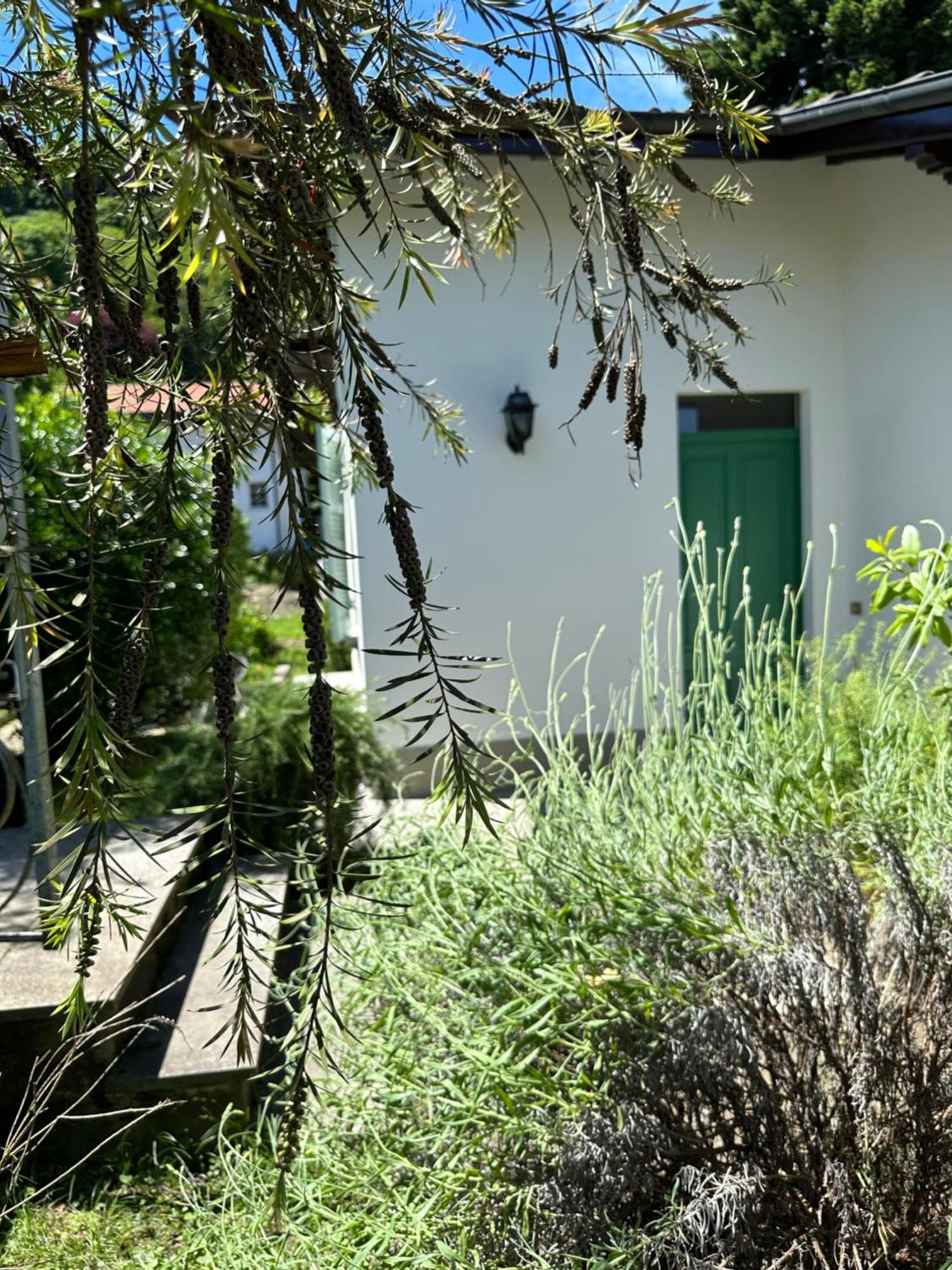 Casa Del Custode: Renovated Flat With Garden In A Villa Near The Lake Stresa Zewnętrze zdjęcie